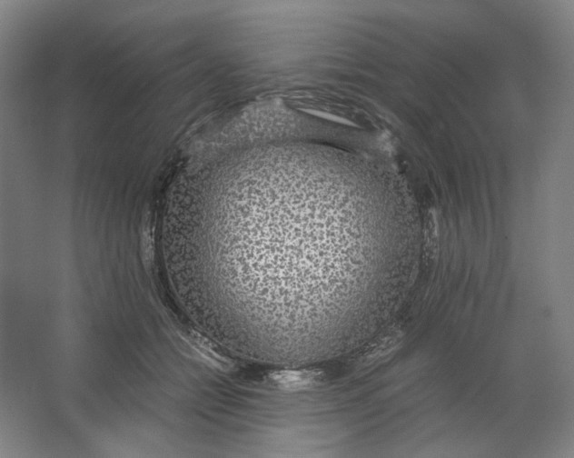 X0000063460558200602101717