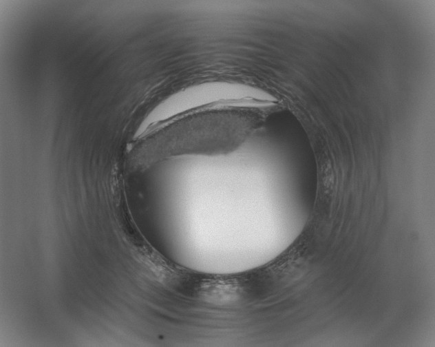 X0000063460559200602101717