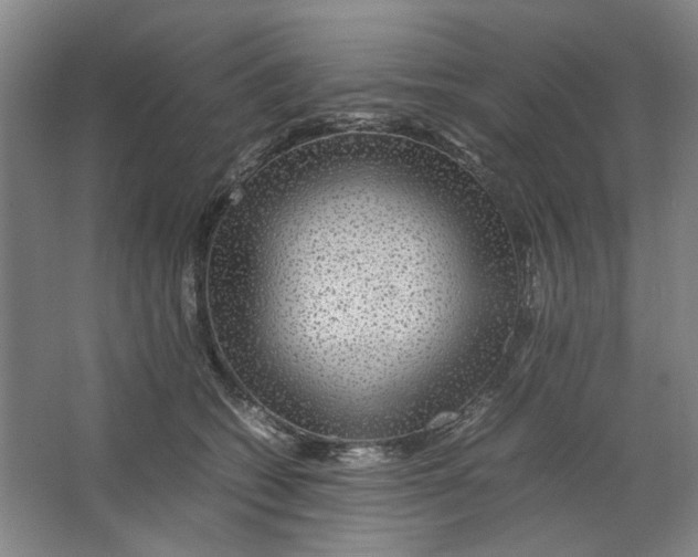 X0000063460562200602101717