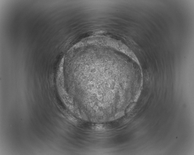 X0000063460565200602101717