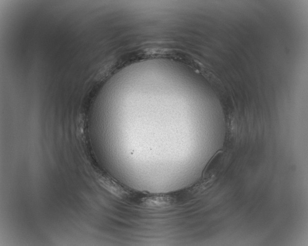 X0000063460567200602101717