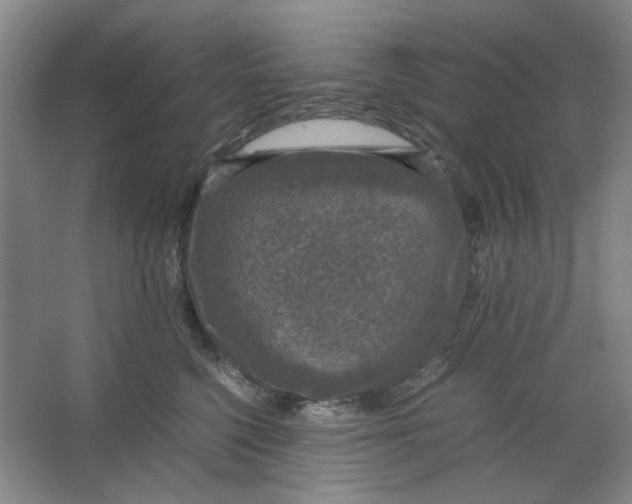 X0000063460568200602101717