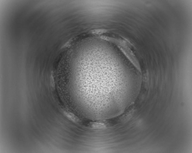 X0000063460572200602101717