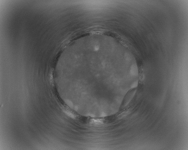X0000063460573200602101717