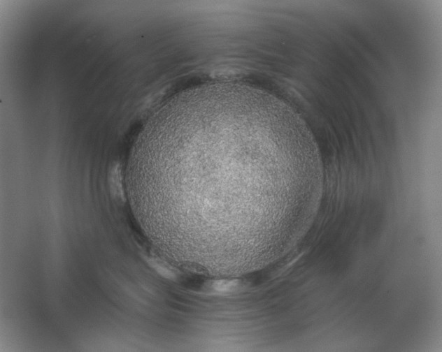 X0000063460575200602101717