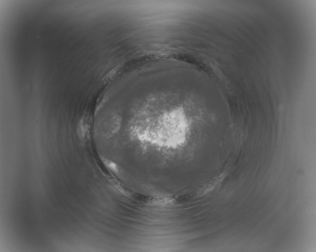 X0000063460576200602101717