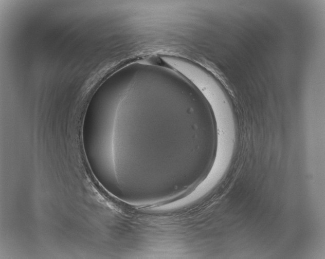 X0000063460577200602101717