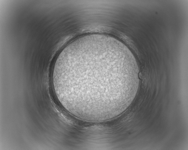 X0000063460578200602101717