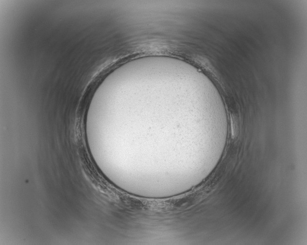 X0000063460579200602101717