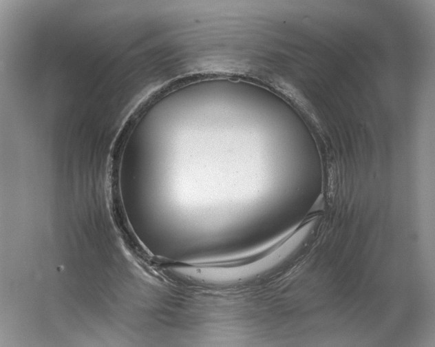X0000063460580200602101717