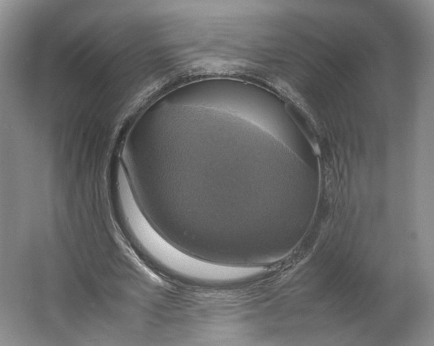 X0000063460581200602101717