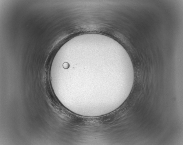 X0000063460583200602101717