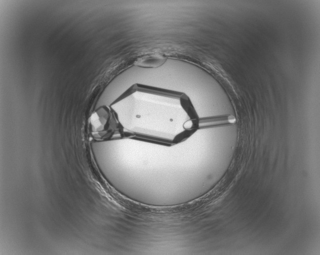 X0000063460585200602101717