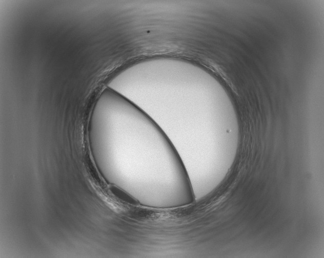X0000063460589200602101716