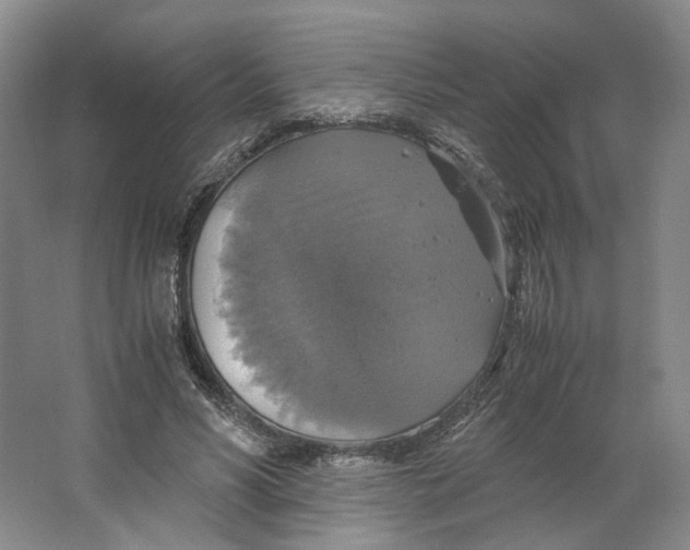X0000063460590200602101716
