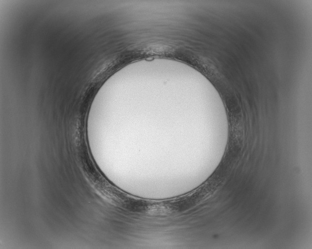 X0000063460591200602101716