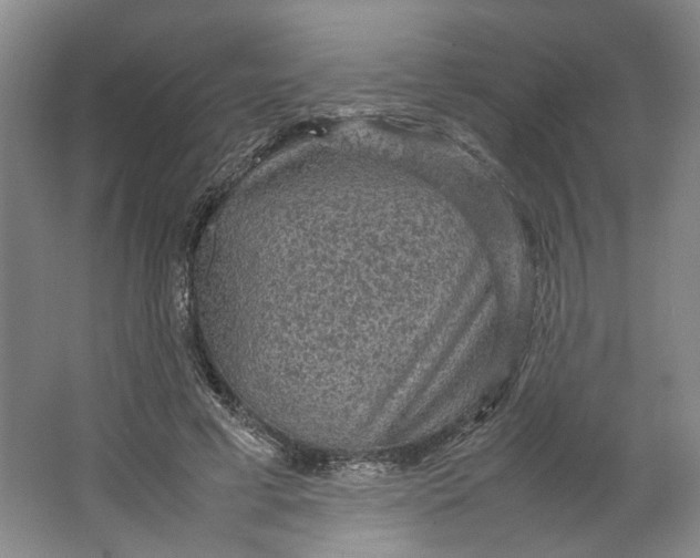 X0000063460593200602101716