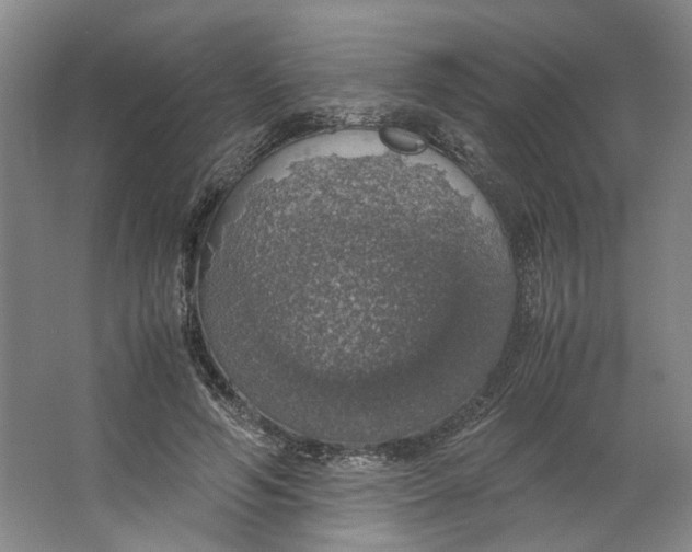 X0000063460594200602101716