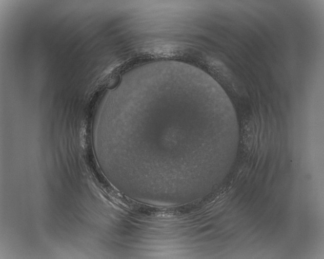 X0000063460596200602101716