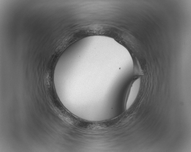 X0000063460597200602101716