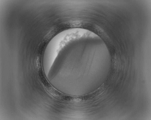X0000063460598200602101716