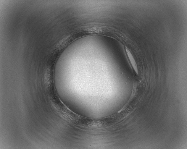 X0000063460600200602101716