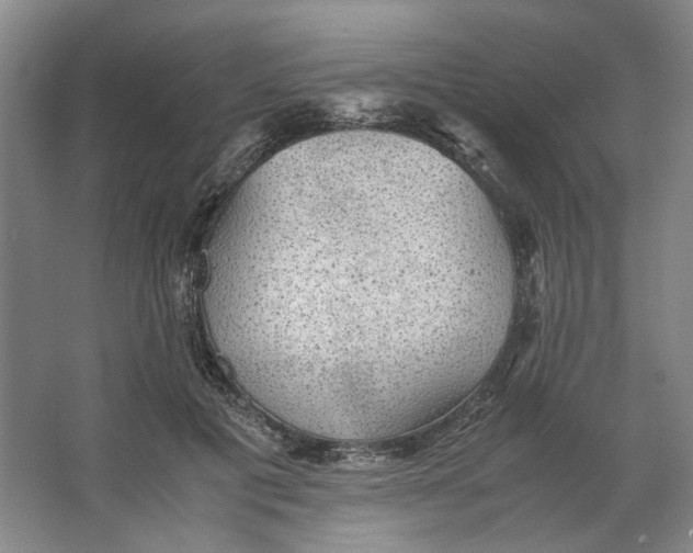 X0000063460601200602101716
