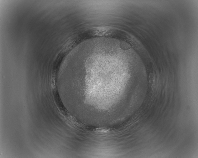 X0000063460602200602101716