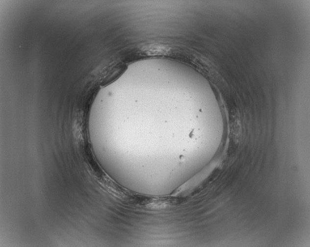 X0000063460604200602101716