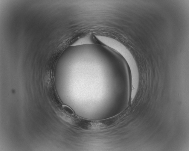 X0000063460605200602101716