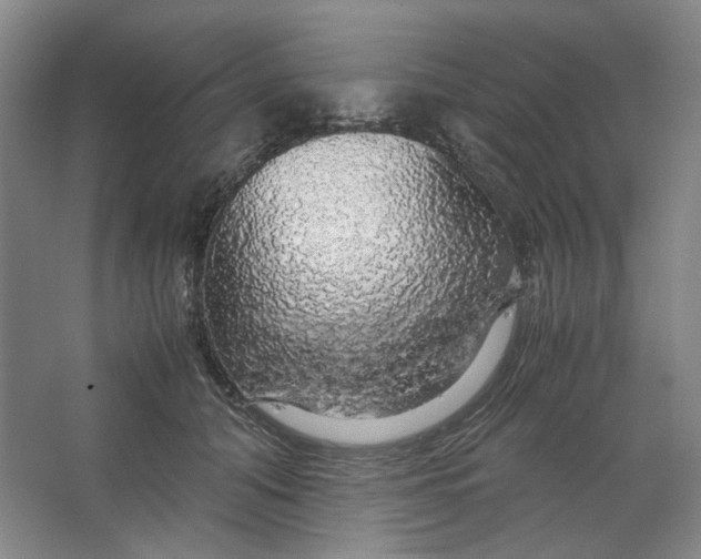 X0000063460608200602101716
