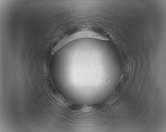 X0000063460609200602101716