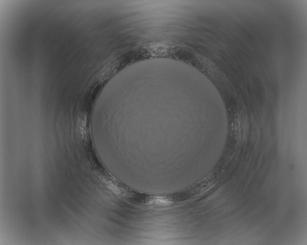X0000063460610200602101716