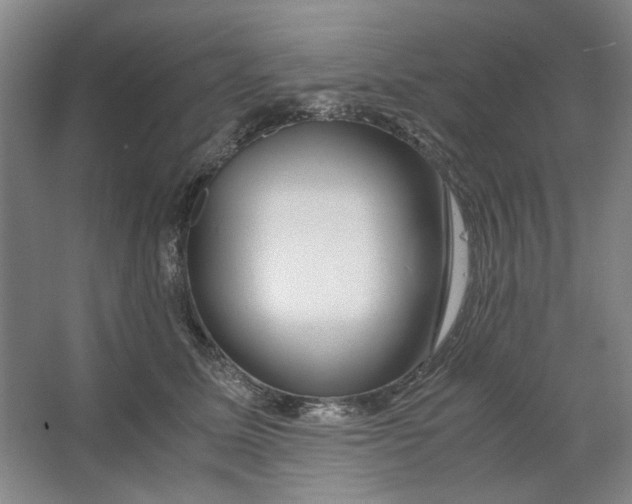 X0000063460611200602101716