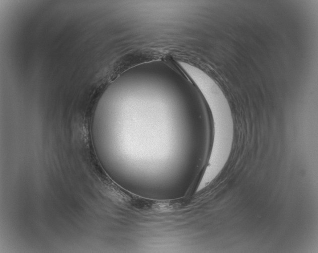 X0000063460613200602101716