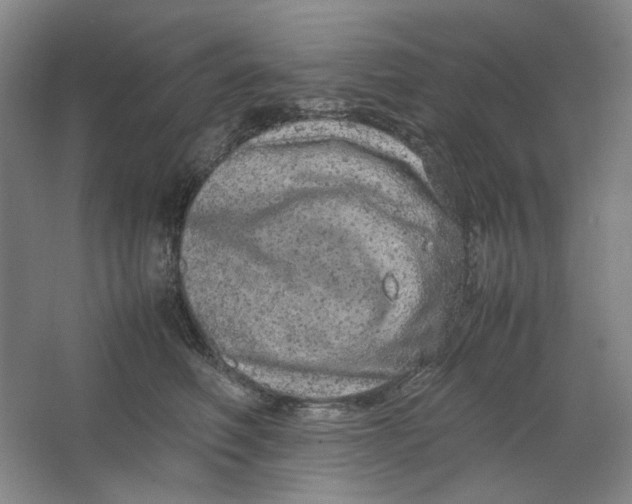 X0000063460614200602101716