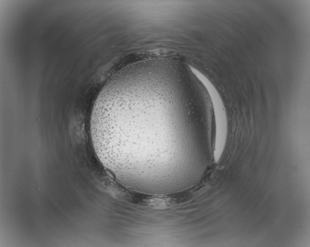 X0000063460615200602101716