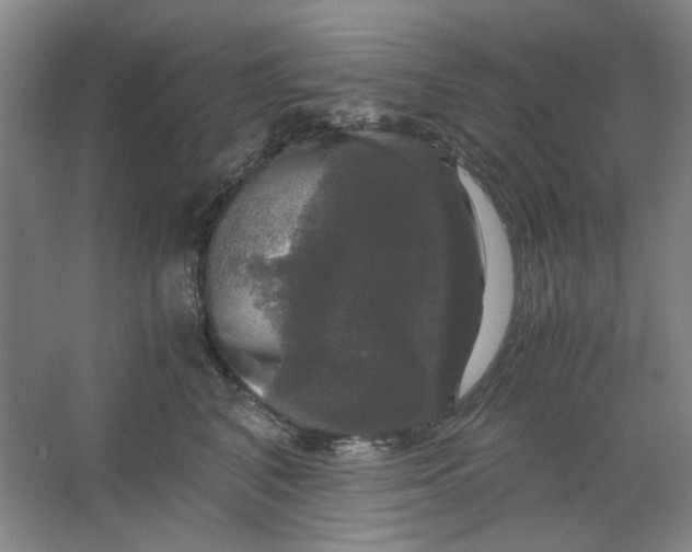 X0000063460616200602101716
