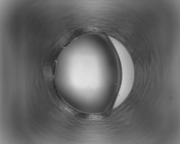 X0000063460617200602101716