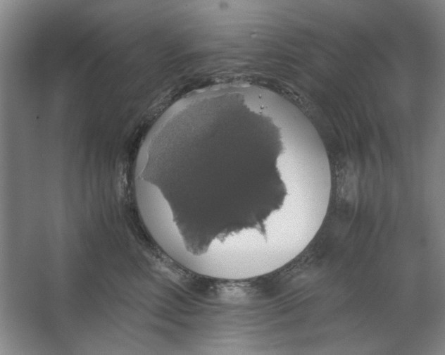 X0000063460618200602101716