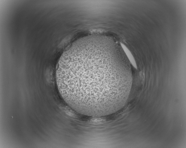 X0000063460619200602101716