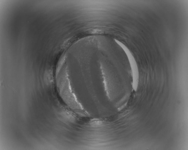 X0000063460620200602101716