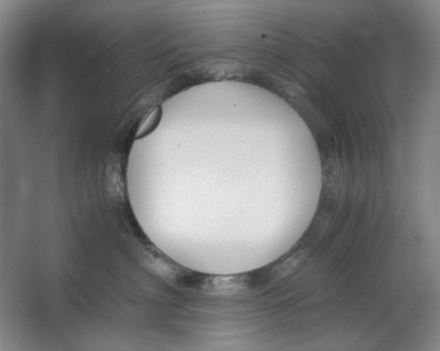 X0000063460622200602101716