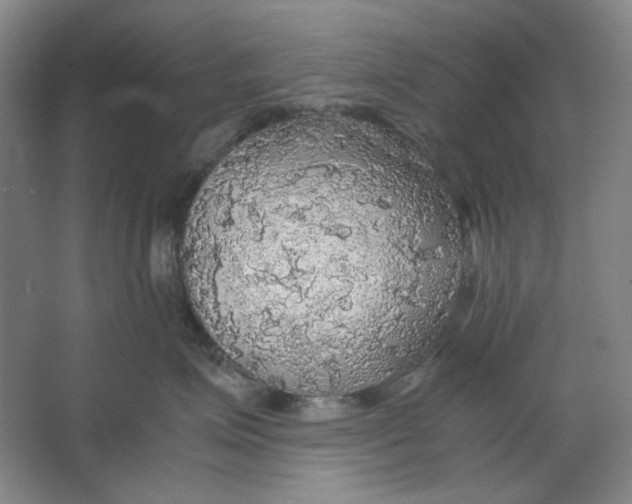 X0000063460623200602101716
