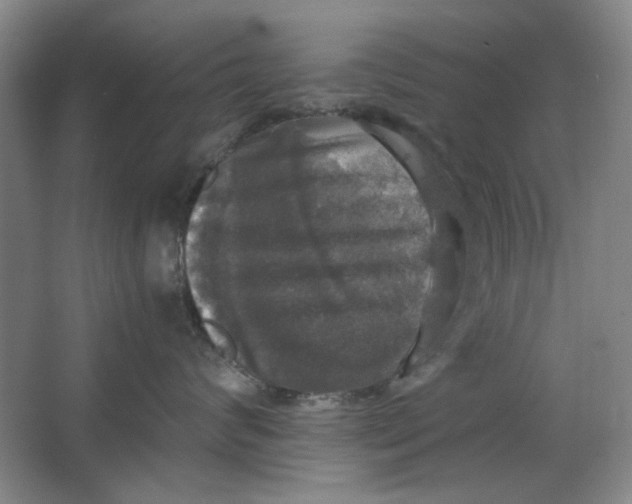 X0000063460624200602101716