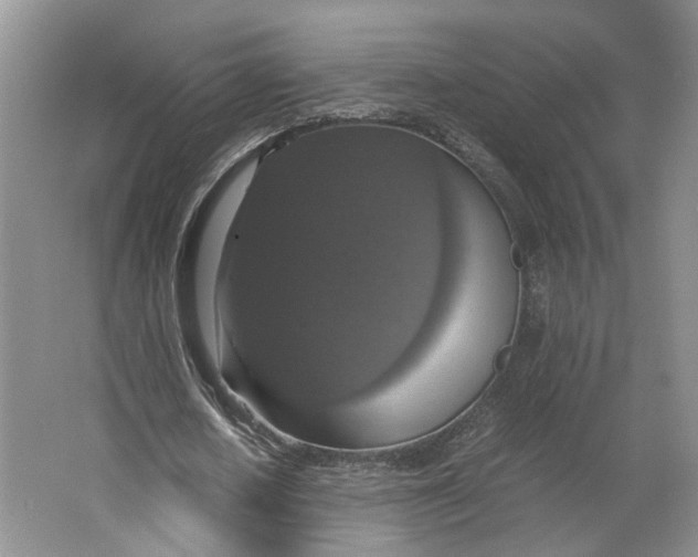 X0000063460626200602101715