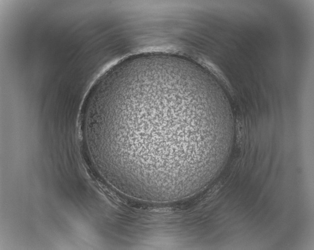 X0000063460628200602101715