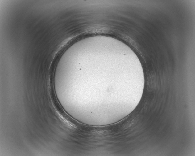 X0000063460629200602101715