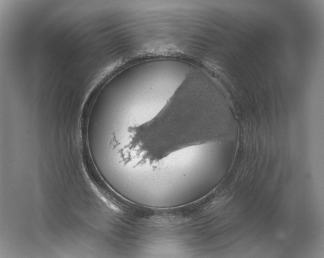 X0000063460630200602101715