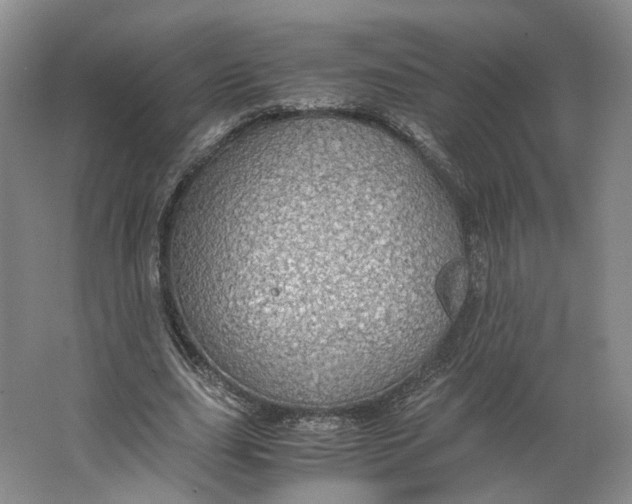 X0000063460631200602101715